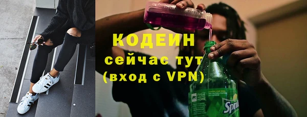 соль ск Белокуриха