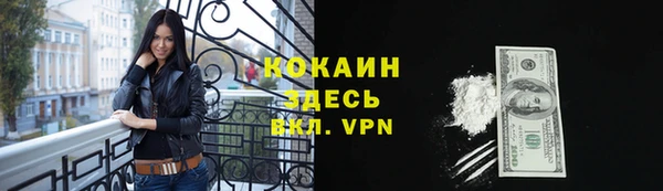 соль ск Белокуриха